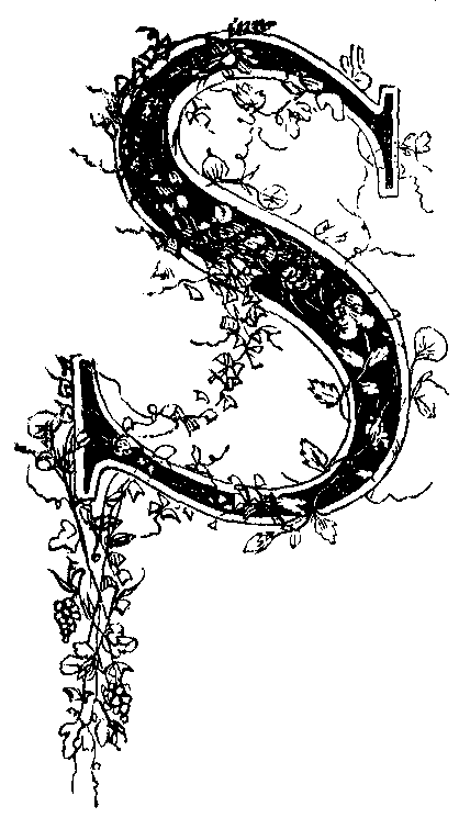 A vine-covered S