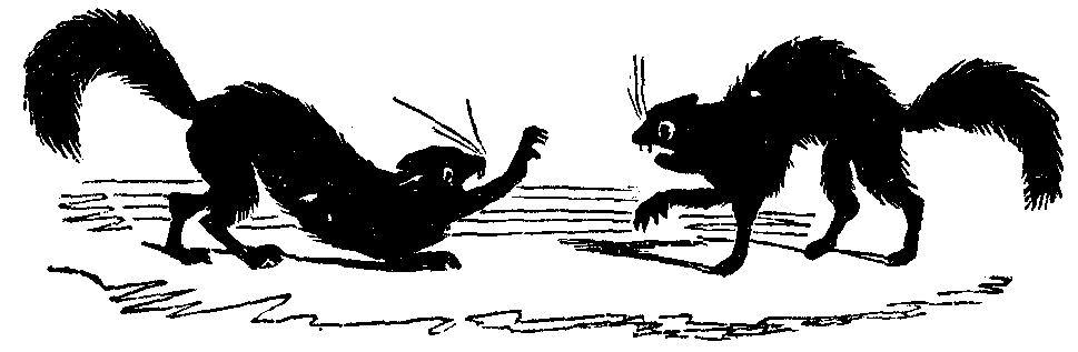 Two cats fight.