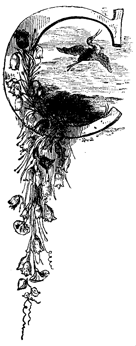 A letter C with flowers trailing from it and an heron in its bowl.