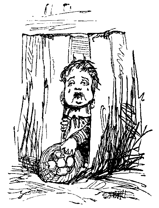 A child tries to force his way through a fence.