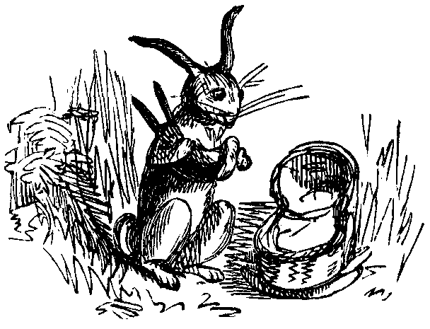 A rabbit sits next to a baby's basket.