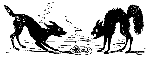 Two cats fight over a plate of scraps.
