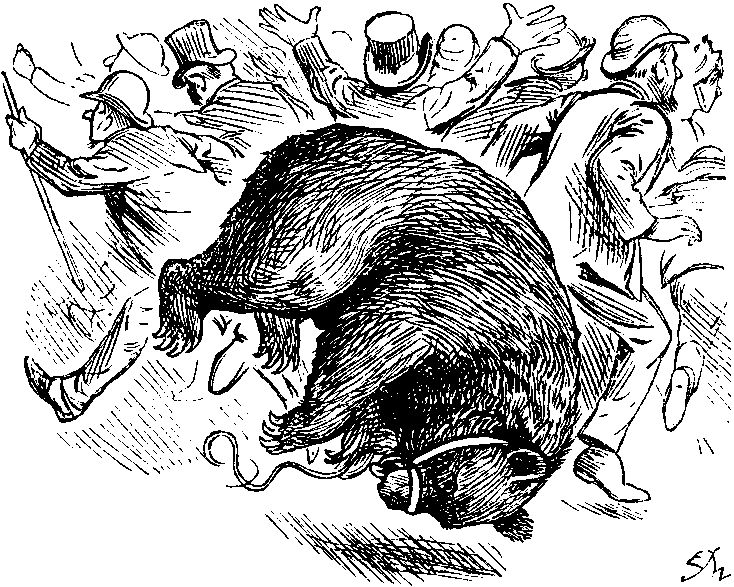 'Bear with us!'