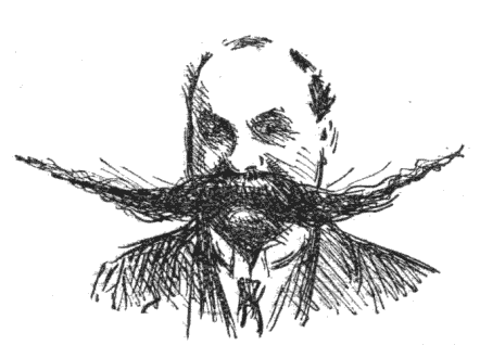 MR. BRACE.