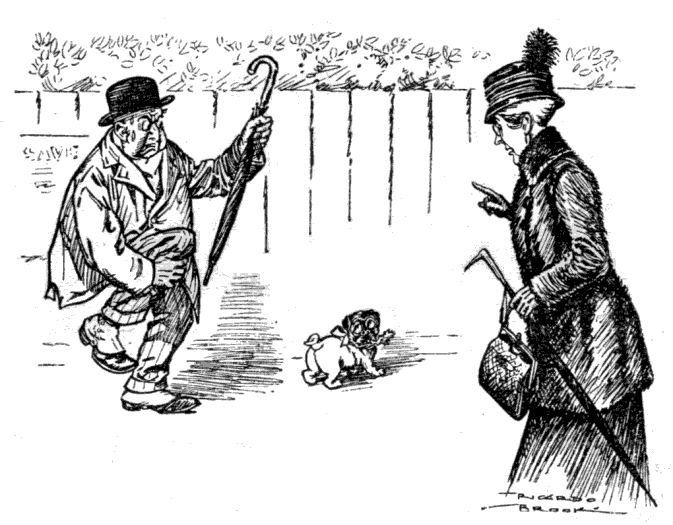 Confound your dog, madam!