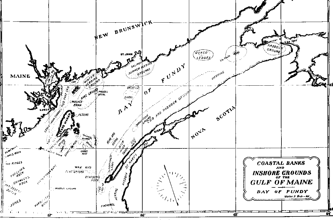 Bay of Fundy