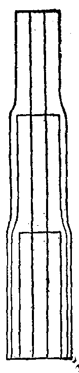 FIG. 27. A stem of three years growth.