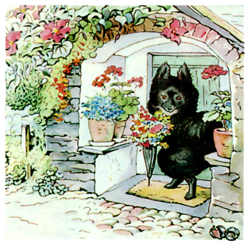 Cover Illustration