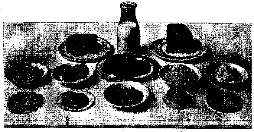 Each Food Shown is Equivalent in Protein to the Platter of Meat in the Center of the Picture.
