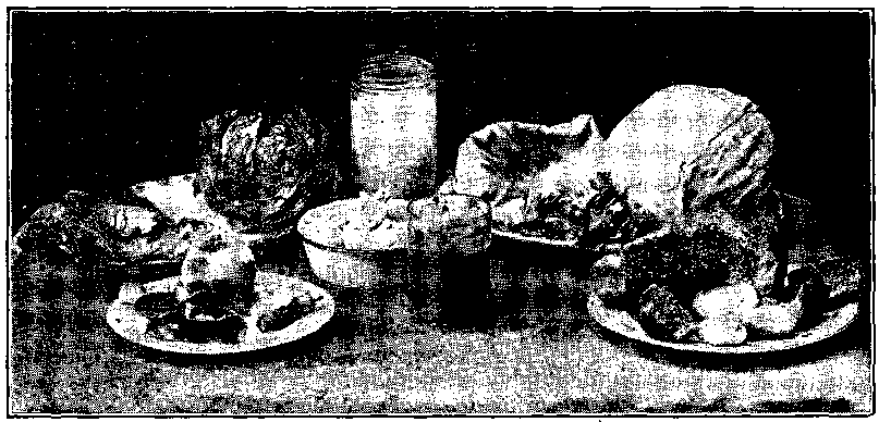 The illustration shows various forms of food waste—the discarded outside leaves of lettuce and cabbage, apple cores and parings, stale bread and drippings.