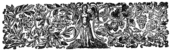 Decorative rule