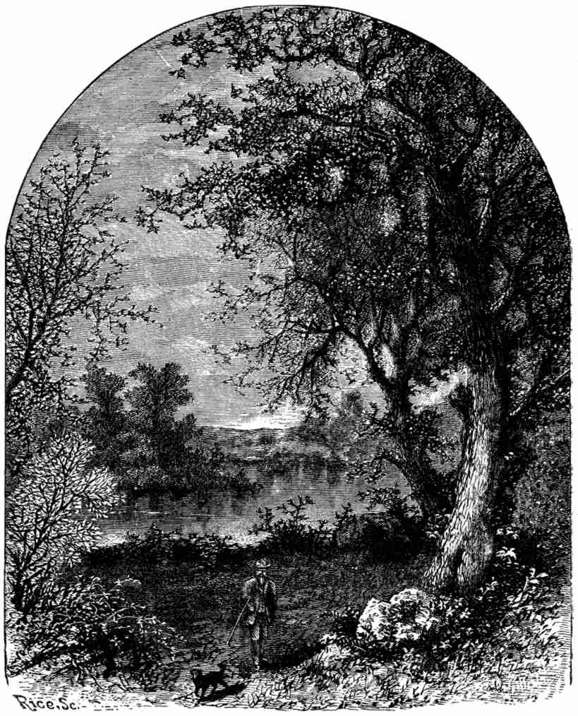 MERRIMACK RIVER BELOW HUNT'S FALLS.