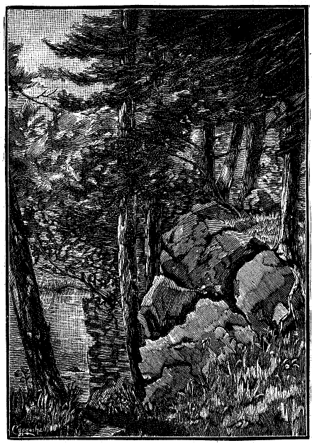 SCENE BELOW HUNT'S FALLS.