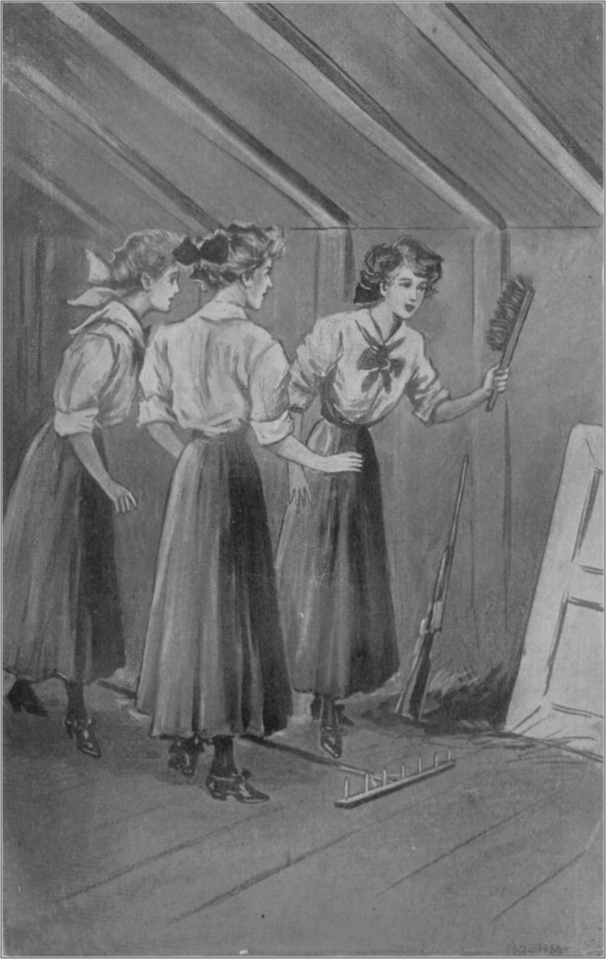 "A WINDOW BRUSH!" SHE GASPED."