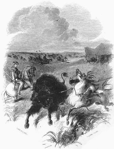 Buffalo Hunt.—Page 161.