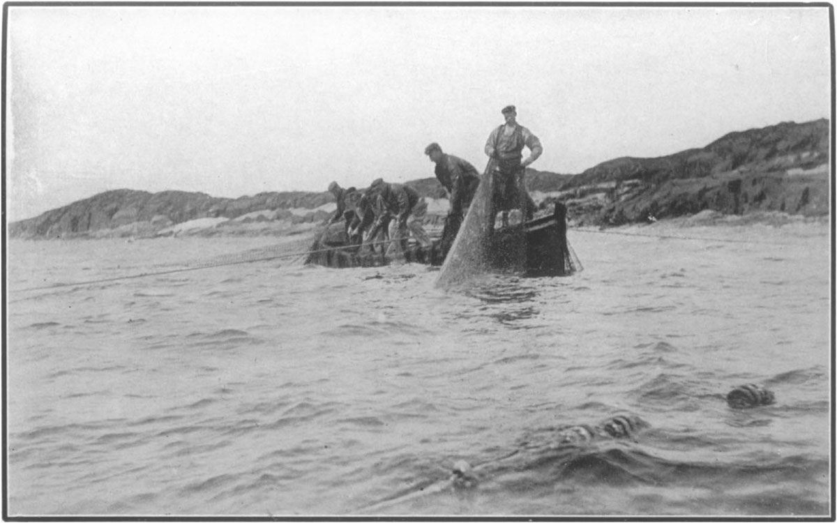 "The Trap Is Submerged A Hundred Yards Or So From Shore"