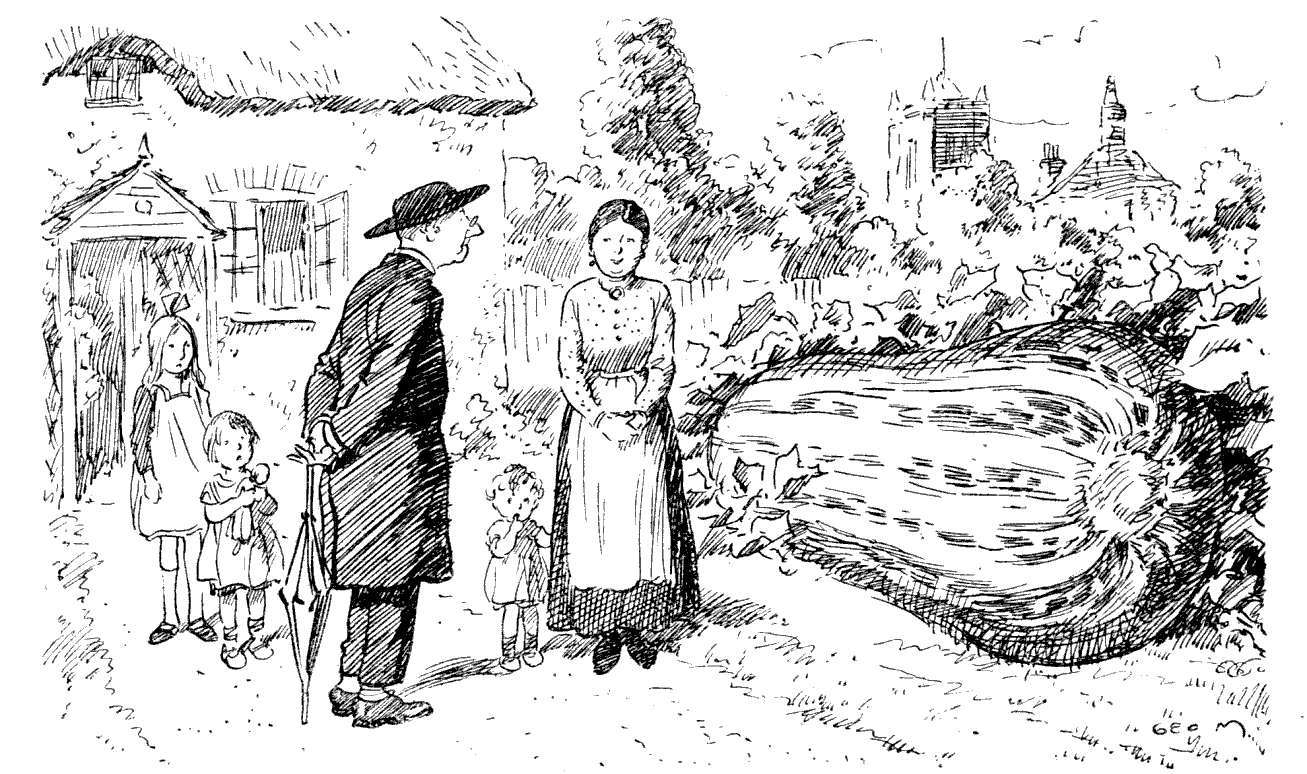 I consider the marrow a much overrated vegetable