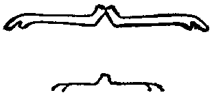 No, negation. Egyptian