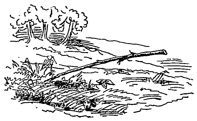 "I am going to the east." Abnaki