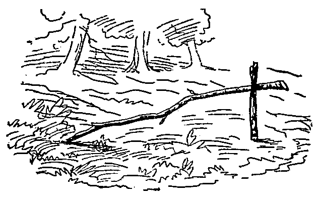 "Gone far." Abnaki