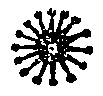 Star. Peruvian pictograph
