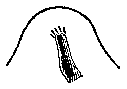 Meda's Power. Ojibwa pictograph