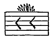 Cultivated soil. Mexican pictograph