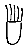 Bear. Moqui pictograph