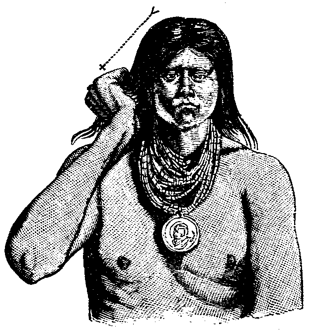 Chief of a band. Pai-Ute