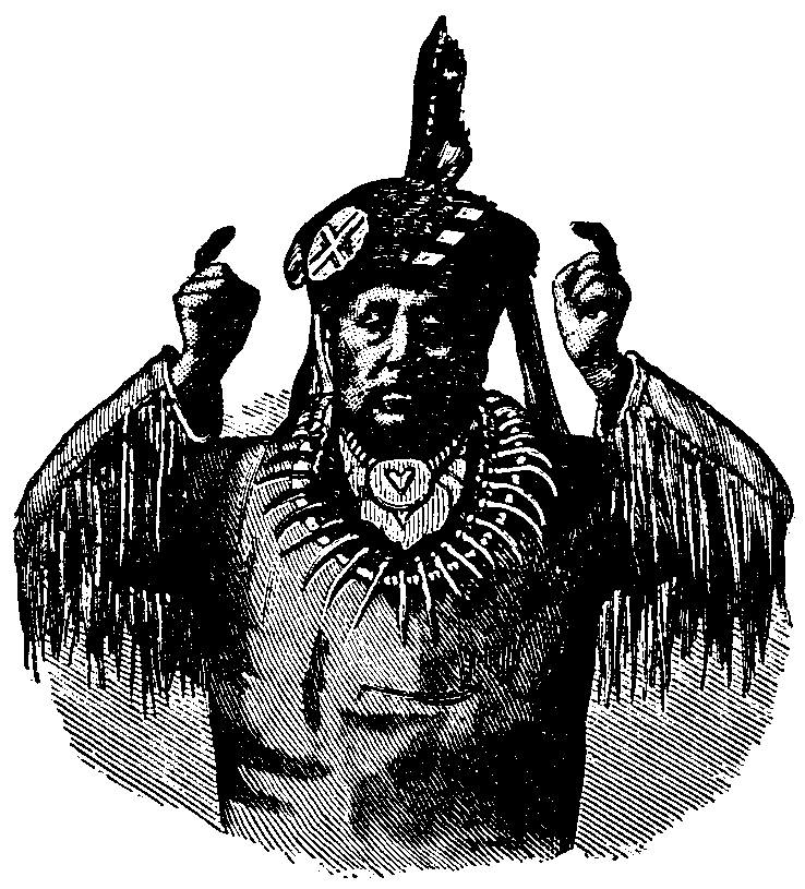 Buffalo. Dakota