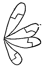 Eagle tail. Moqui pictograph