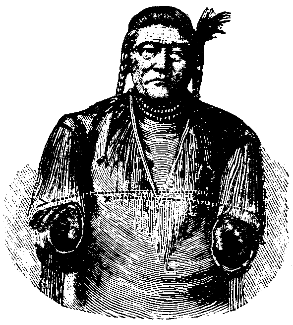 Night. Shoshoni