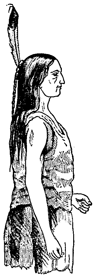 Outline for arm positions, profile