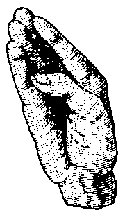 U
