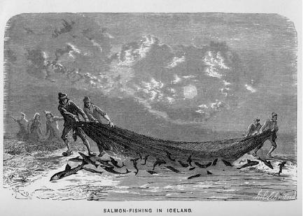 Salmon-fishing in Iceland