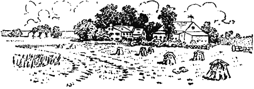 A farm