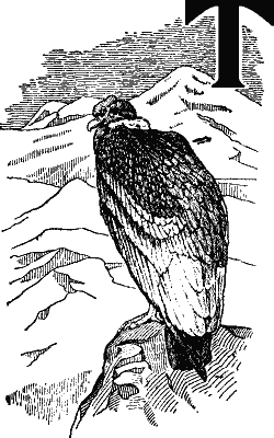 T, decorated with a bird on a rock