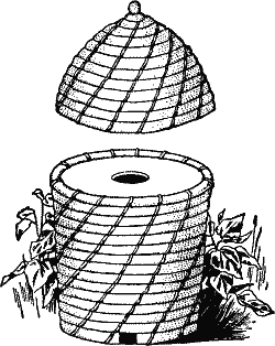 A Bee Hive.
