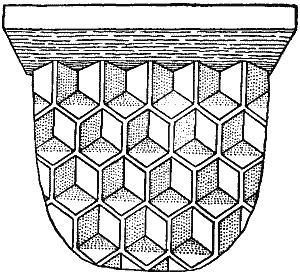 Section of Cells Constructed by Bees.