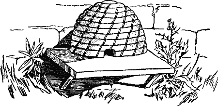 A bee hive
