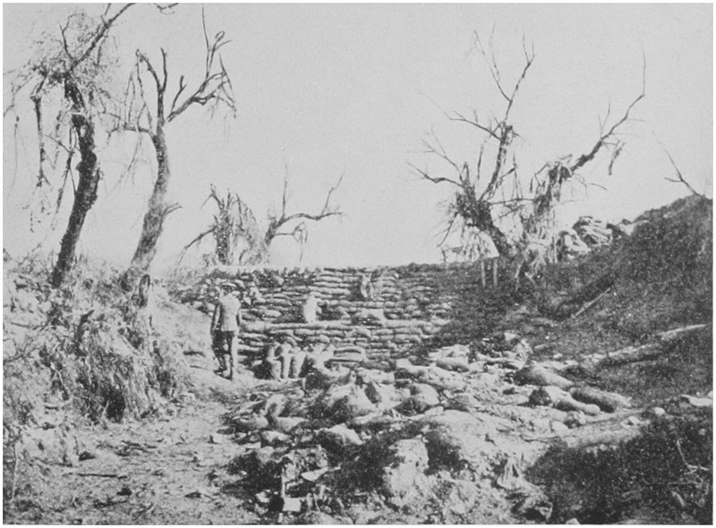 THE HIGHLAND BARRICADE, ASMAK DERE, SUVLA.