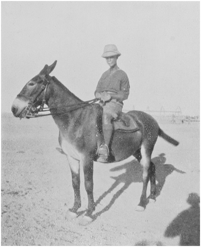 CAPTAIN TUKE ON JOSEPH.