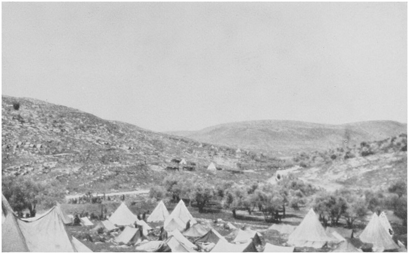 BATTALION BIVOUAC, NEAR SUFFA.
