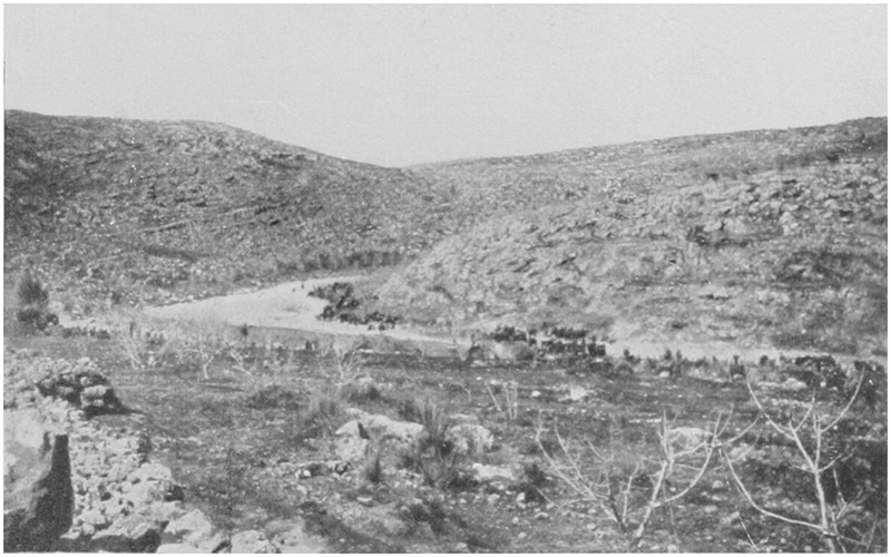 THE IRISH ROAD CROSSING THE WADI AIN ARIK.