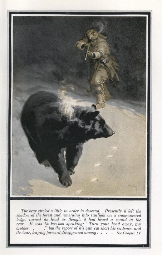 The bear circled a little in order to descend.  Presently it left the shadow