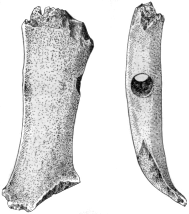 Figure 8