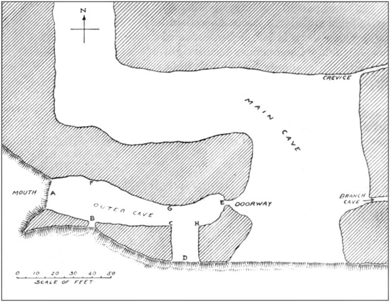 Figure 13