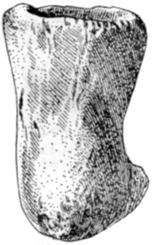 Figure 17