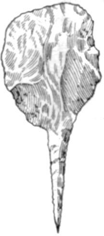 Figure 22