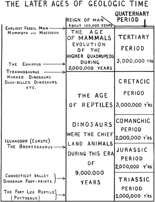 Fig. 1. The Later Ages of Geologic Time.